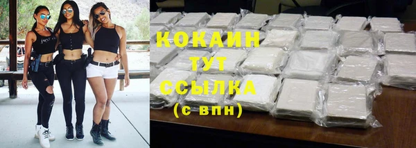 индика Инта