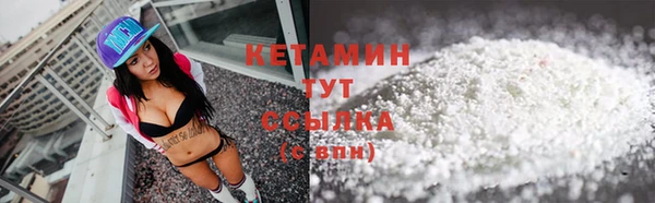 мдпв Инсар