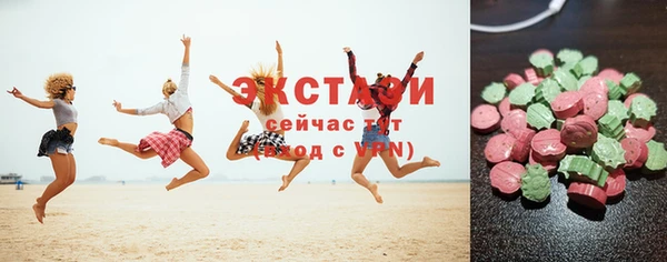 индика Иннополис