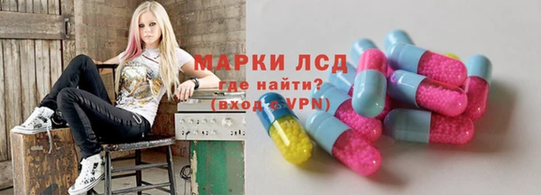 мдпв Инсар