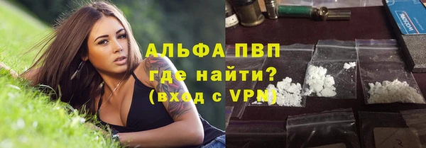 индика Иннополис