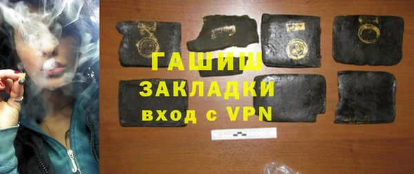 индика Инта