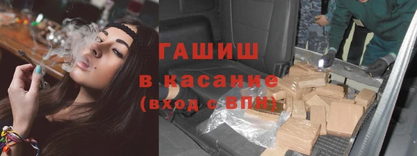 индика Инта