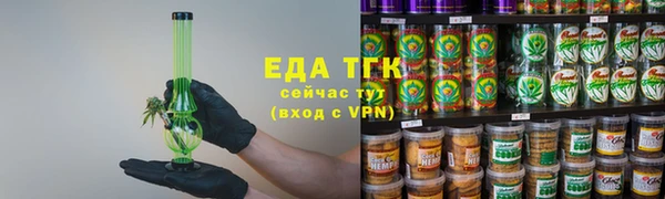 индика Иннополис
