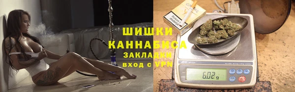 мдпв Инсар