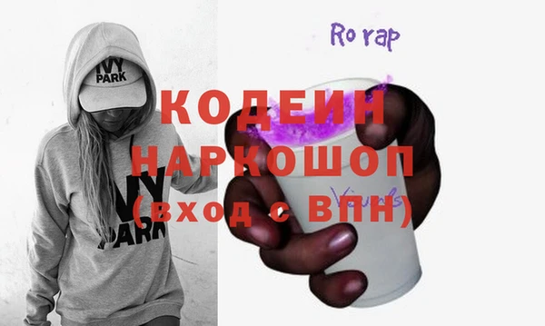мдпв Инсар