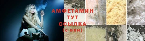индика Иннополис