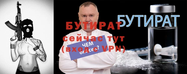 индика Инта
