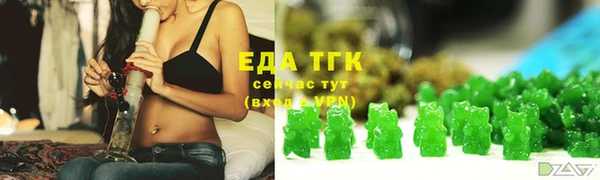мдпв Инсар