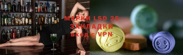 индика Иннополис