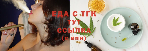 мдпв Инсар