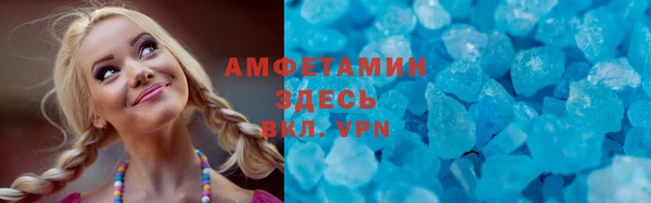 индика Инта