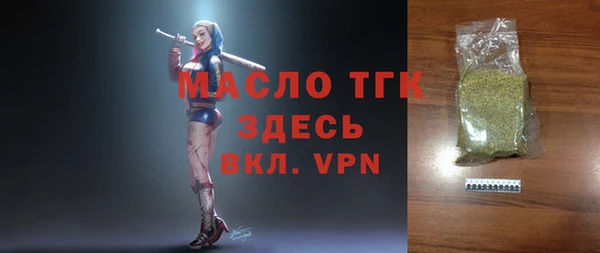 мдпв Инсар