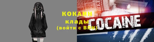 индика Инта