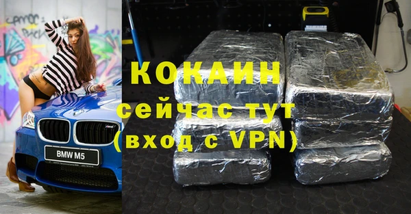 индика Иннополис