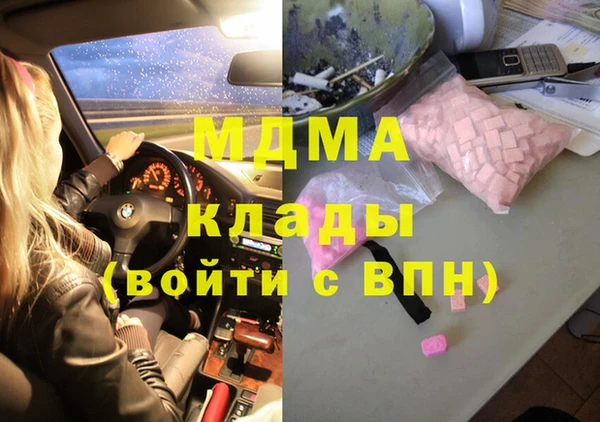 индика Инта