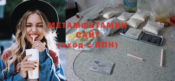 мдпв Инсар