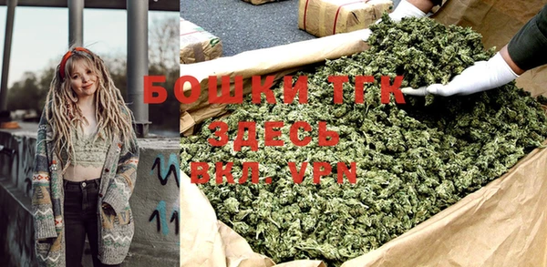 индика Инта