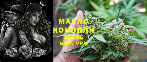 индика Иннополис