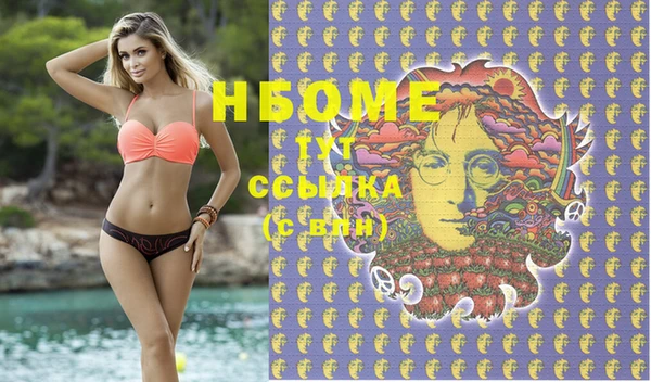 индика Иннополис