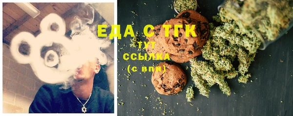 индика Инта