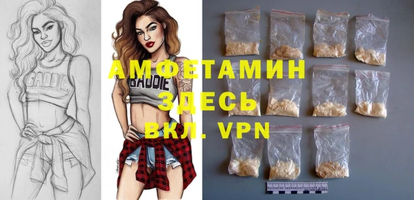 мдпв Инсар