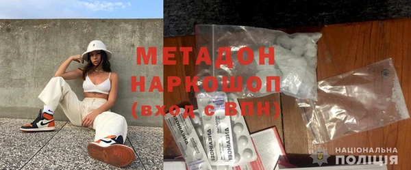 индика Инта