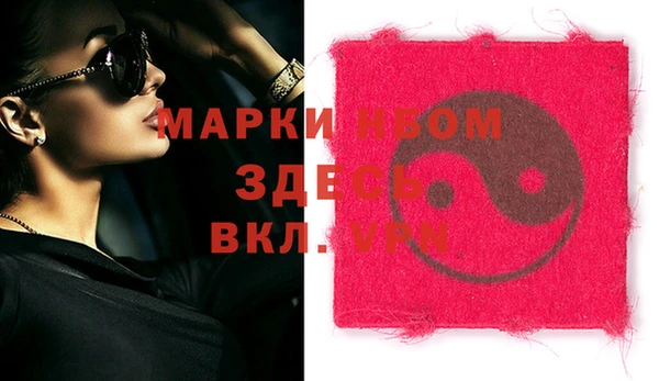 мдпв Инсар