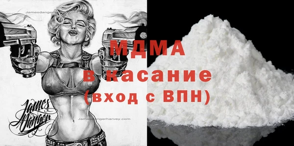 индика Инта