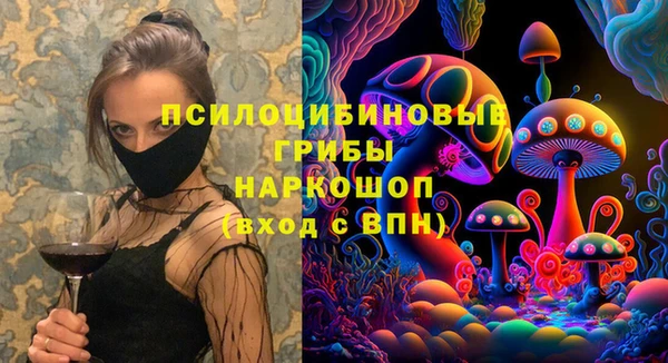 индика Инта