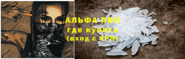 индика Инта