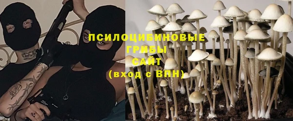 мдпв Инсар