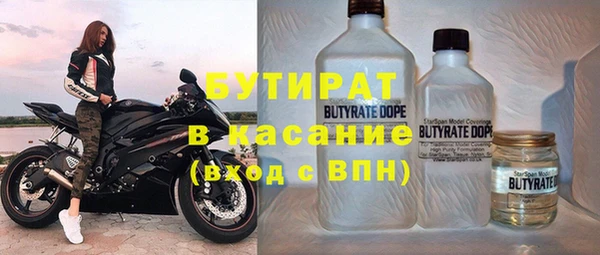индика Инта