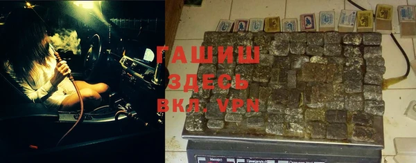 индика Инта