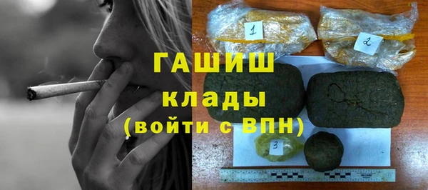 индика Инта