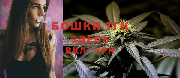 индика Иннополис