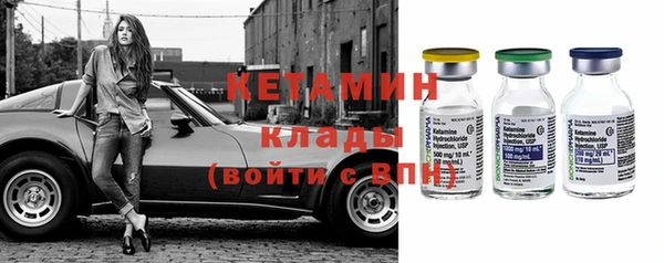 индика Инта