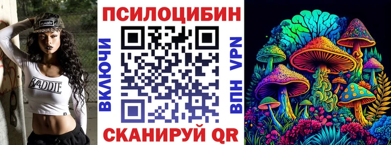 Галлюциногенные грибы Psilocybe  Купить  Калач-на-Дону 